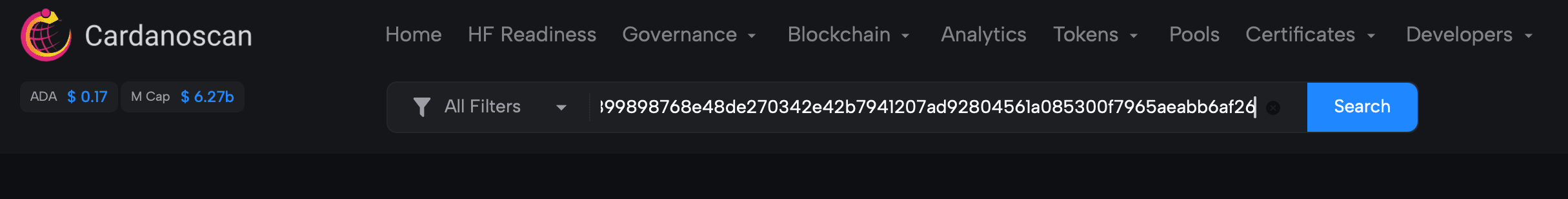 Searching a transaction on Cardanoscan
