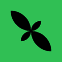 Mint Logo