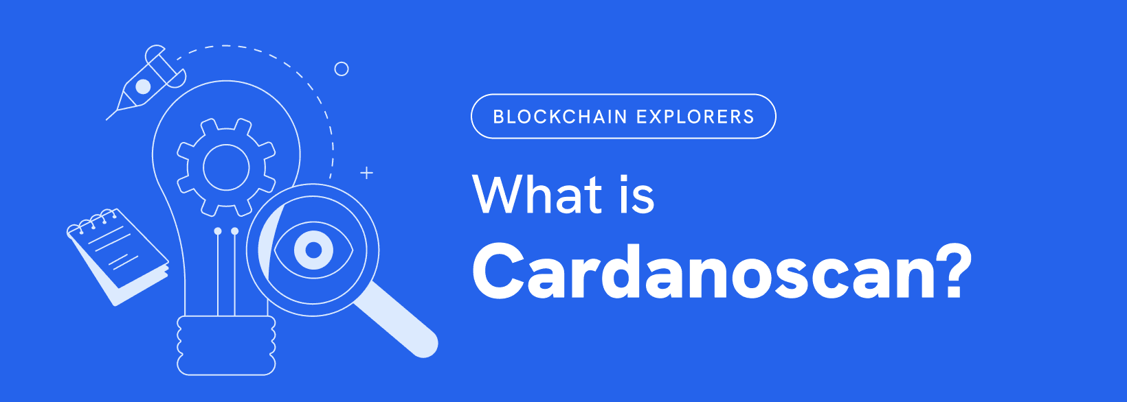 What is Cardanoscan?